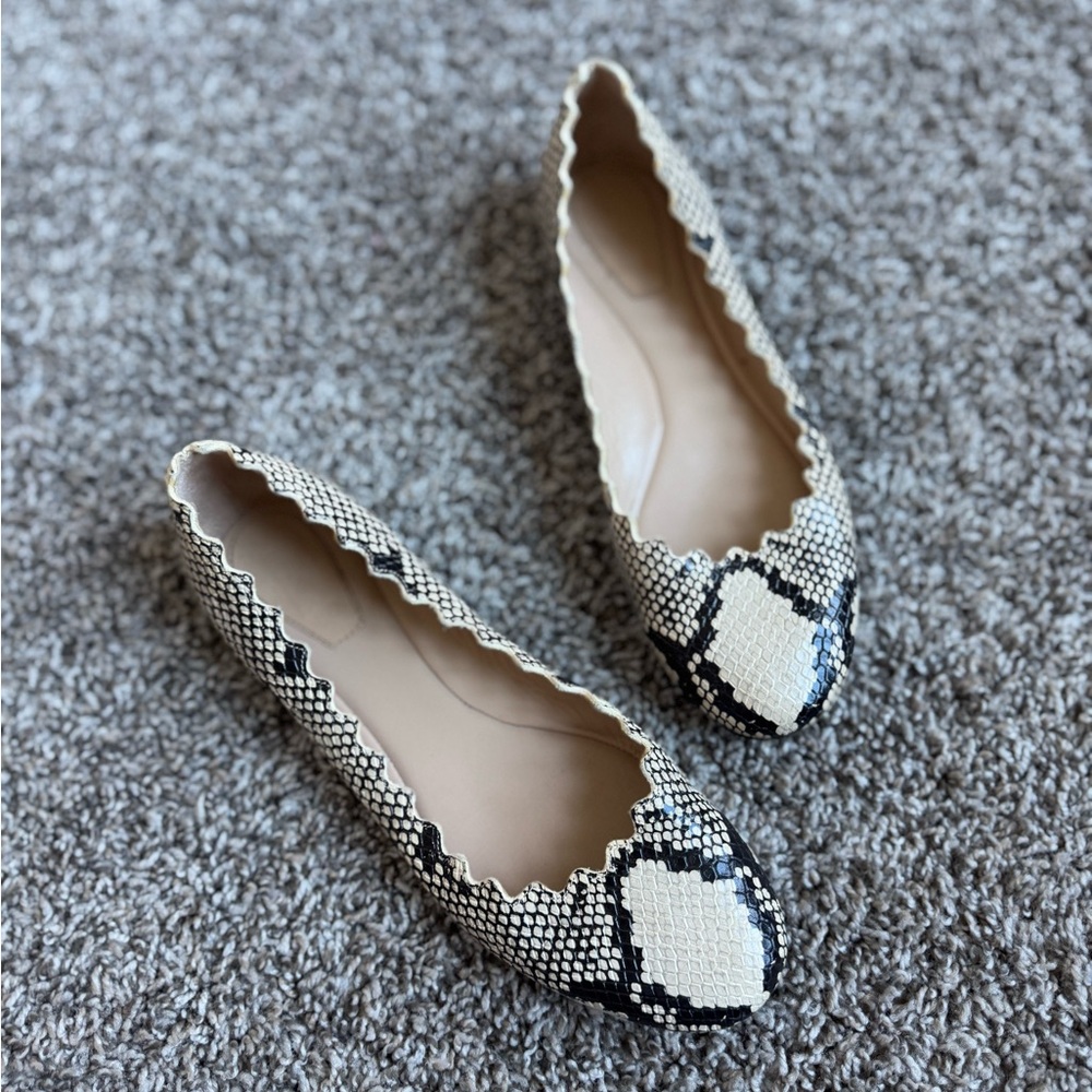 Chloe Lauren Scalloped Snake-Print Ballet Flats
